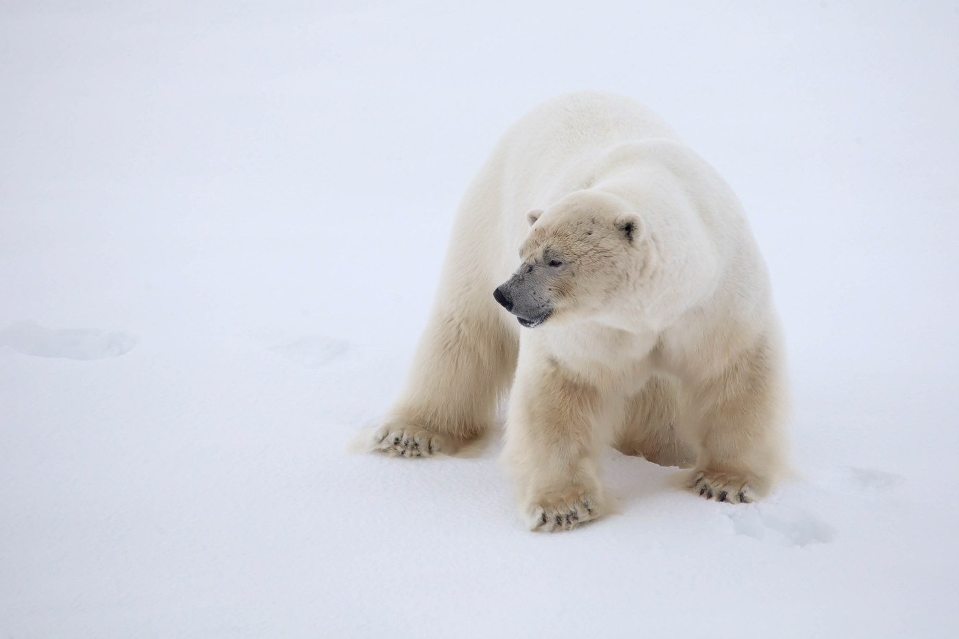 Quark Expeditions &mdash; photo 2
